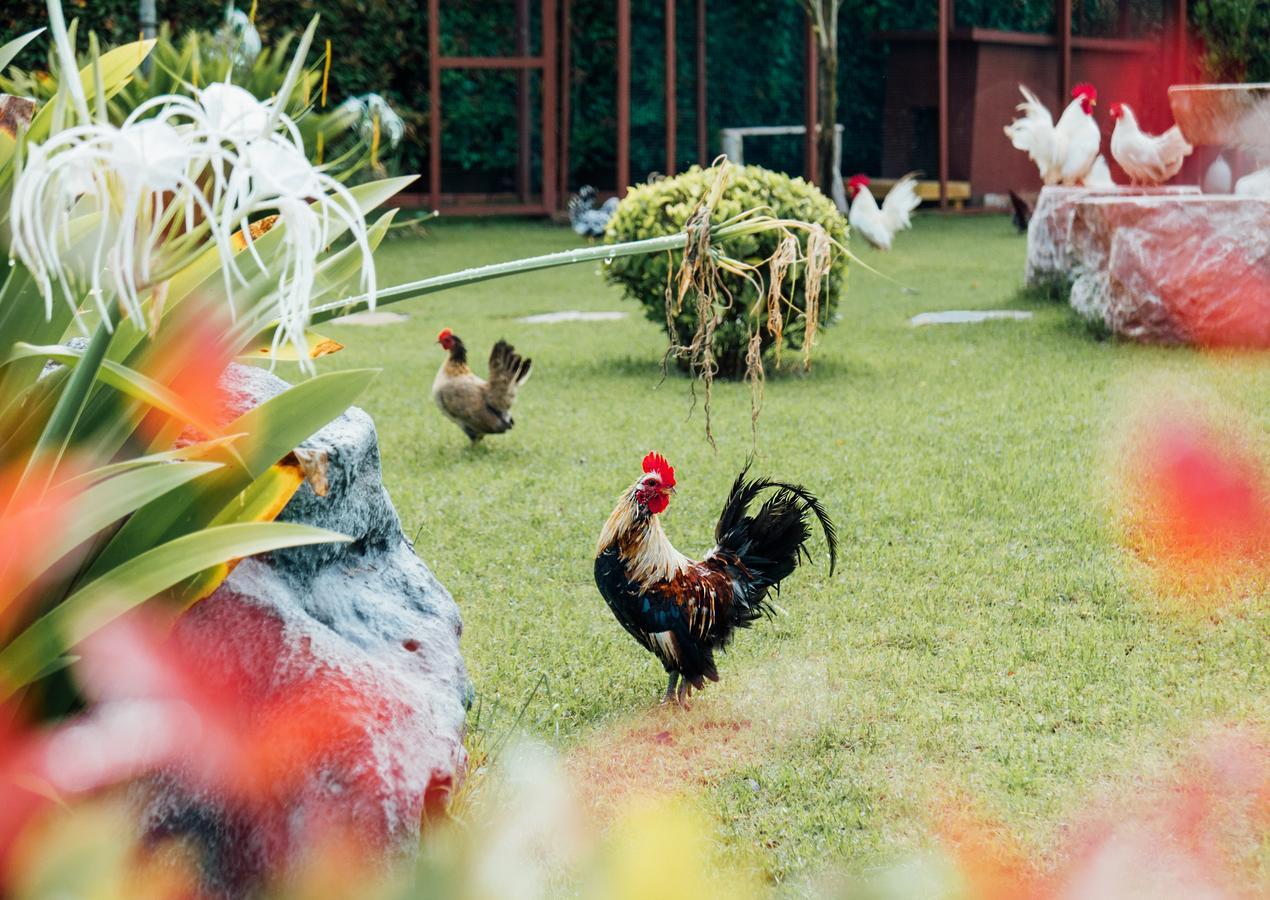 Rai Fahpratan Home And Garden Ban Pak Ngam  Екстер'єр фото